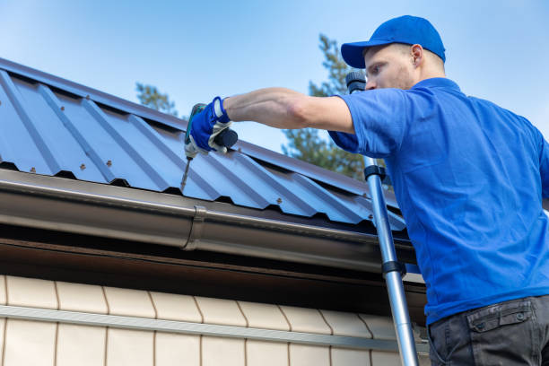 Best Gutter Installation and Repair  in Carrollton, AL