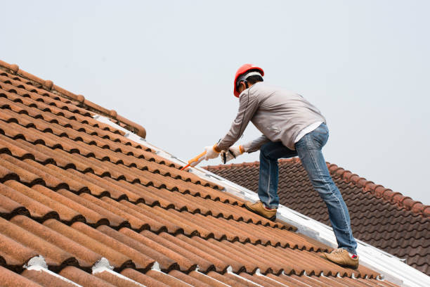 Best Roof Ventilation Installation  in Carrollton, AL